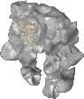 Stonegolem / male
